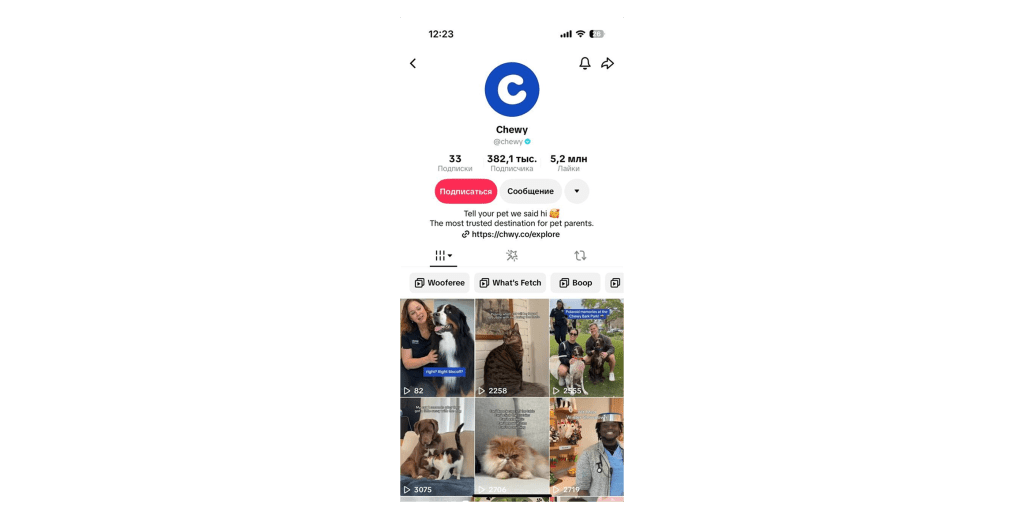 TikTok Pet Ecommerce